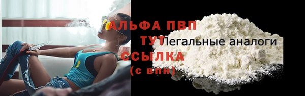 сатива Киренск