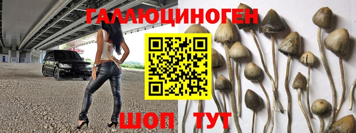 Псилоцибиновые грибы ЛСД Абакан