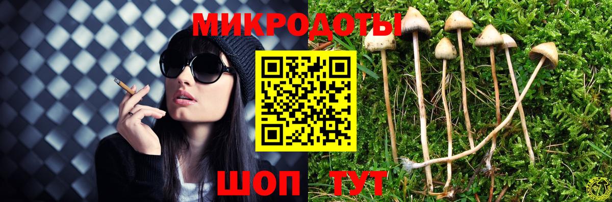 Абакан  Псилоцибиновые грибы мицелий  Вход с VPN  Псилоцибиновые грибы Psilocybine cubensis 